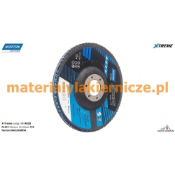 NORTON X-Treme R828 P120